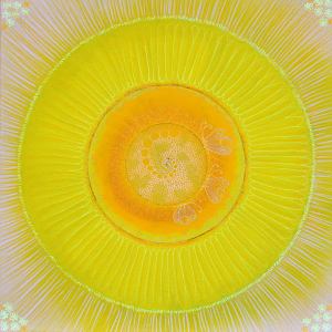 מנדלות, עריכת לשון