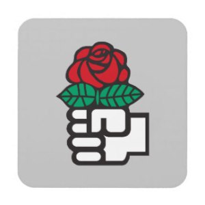 כל חרק לפי צרכיו