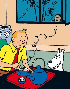 tintin-indotherm