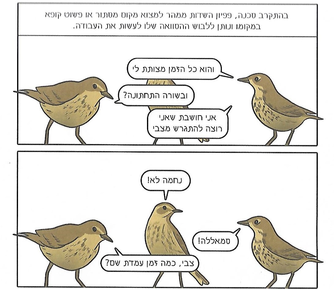 ציפורים